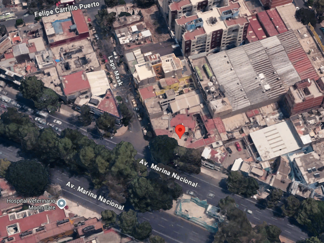 place photo 7