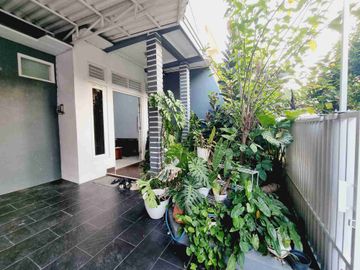 place photo 24