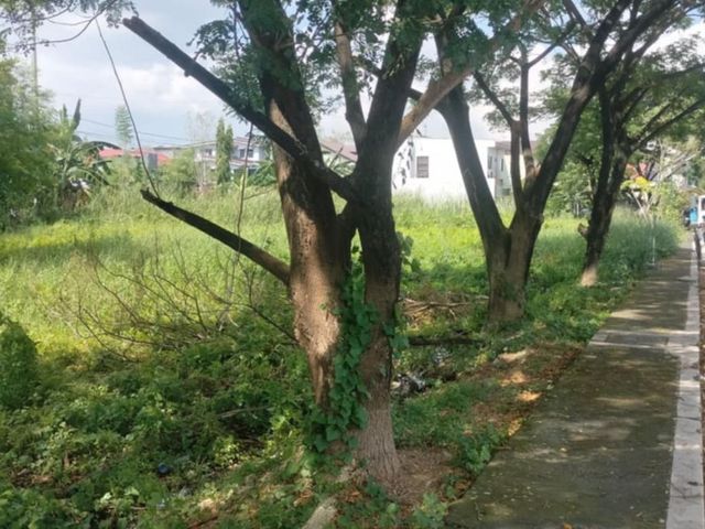 place photo 17