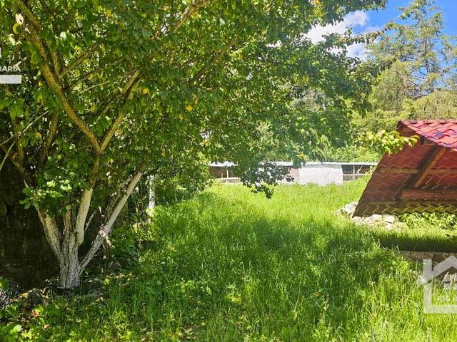 place photo 29