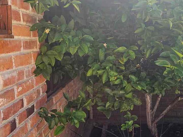 place photo 35