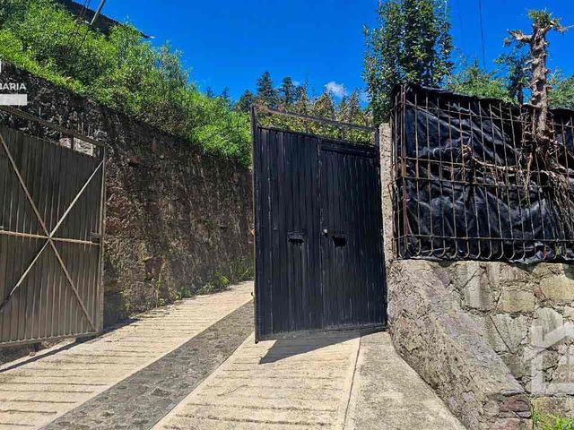 place photo 45