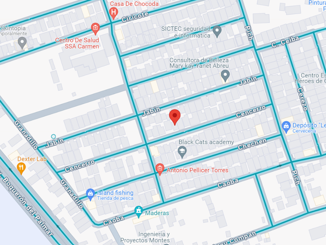 place photo 10