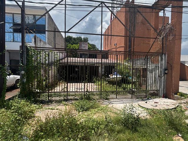 place photo 14