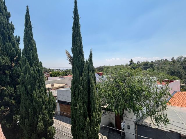 place photo 54