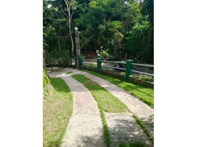 place photo 33
