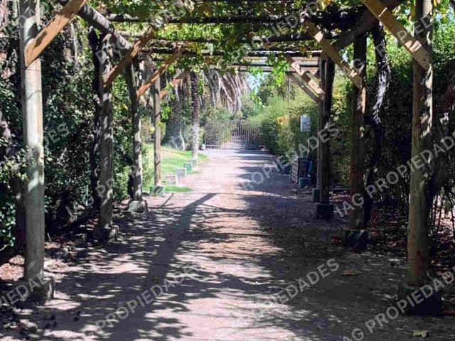 place photo 42