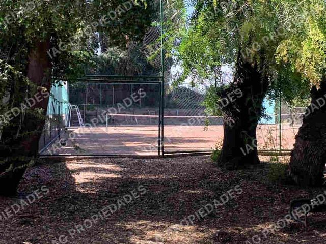 place photo 15
