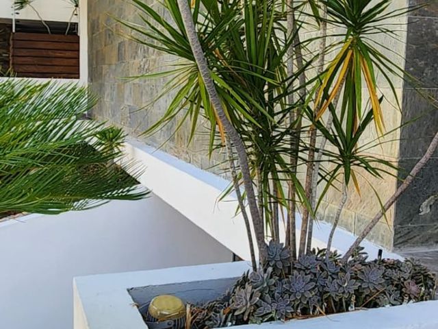 place photo 76