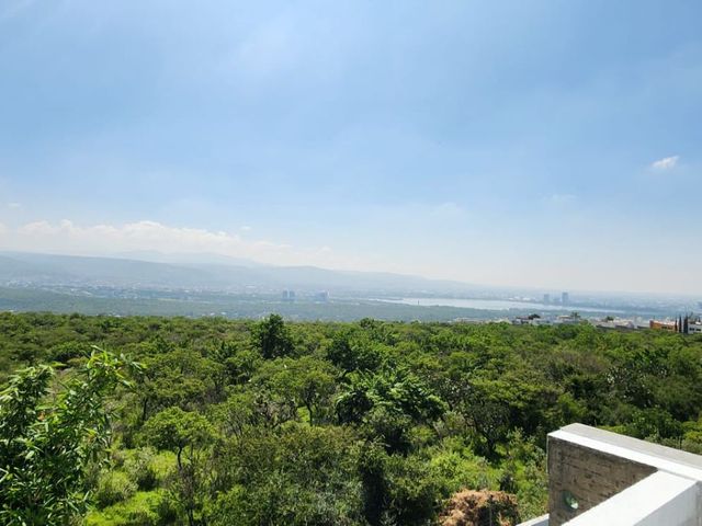place photo 82