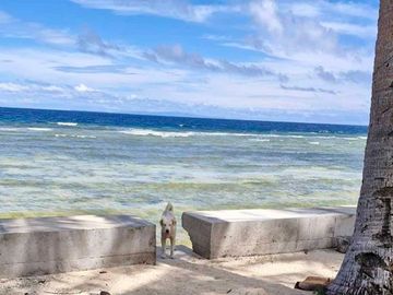 place photo 39