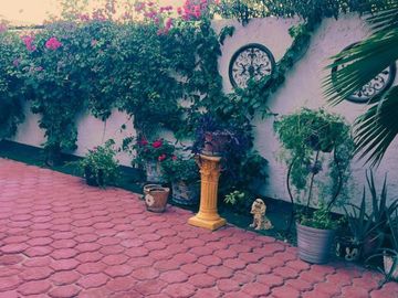 place photo 16