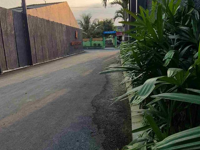 place photo 27