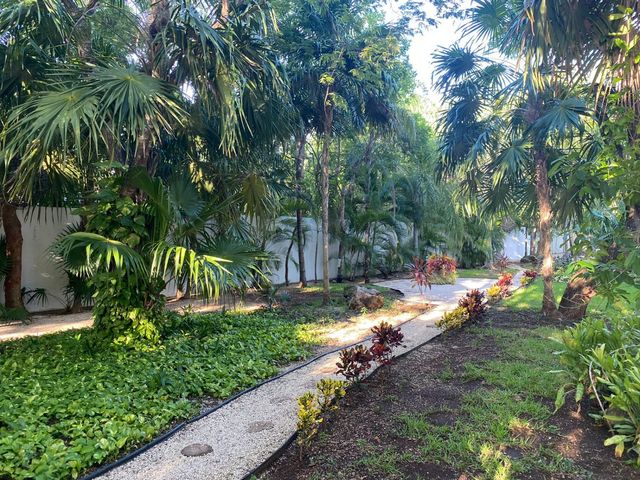 place photo 27