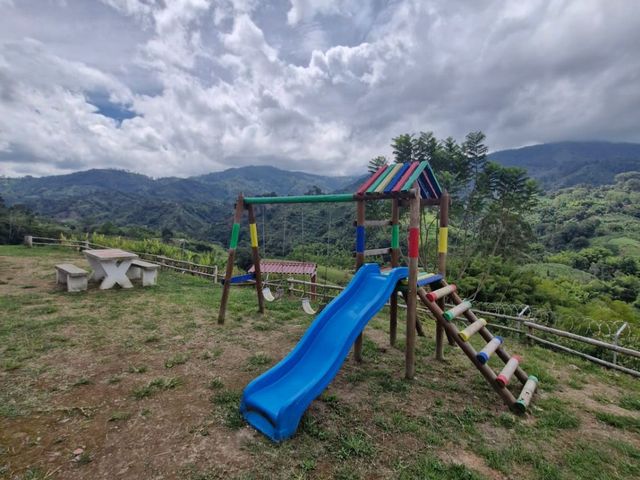 place photo 28