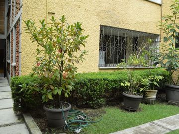 place photo 41