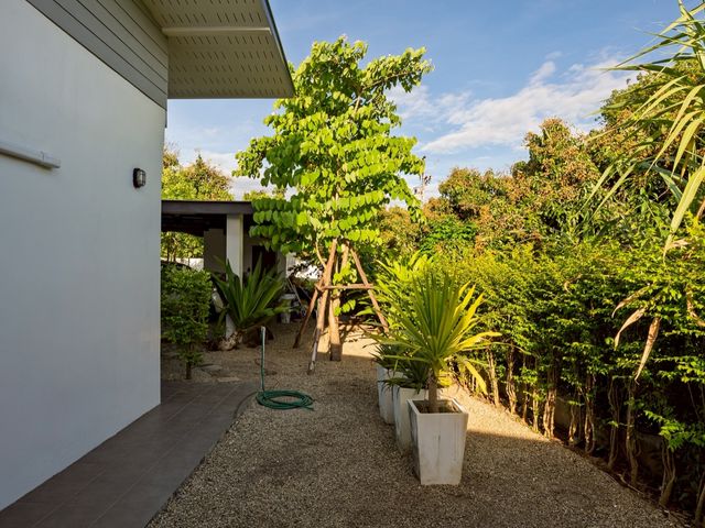 place photo 58