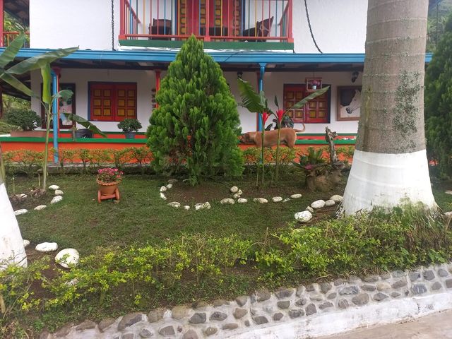 place photo 11