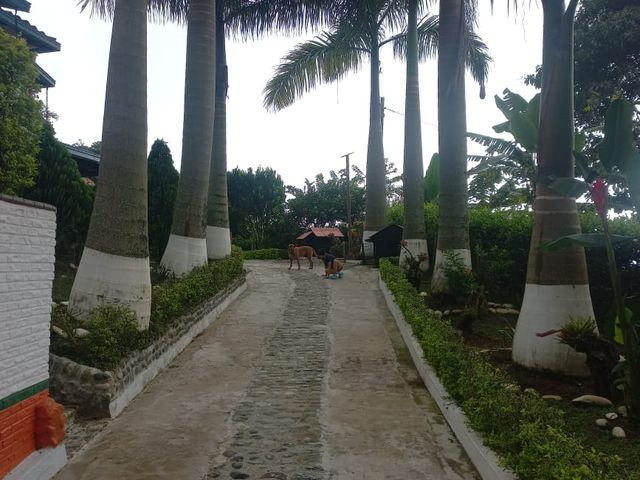place photo 16