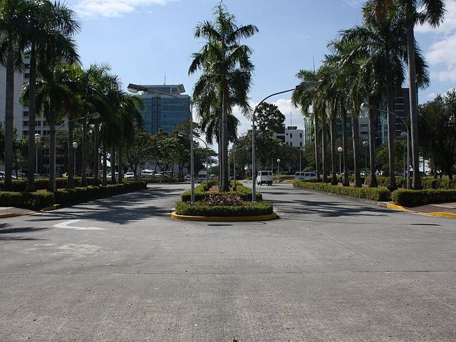 FOR SALE - Residential Vacant Lot in Ayala Alabang Village, Brgy. Ayala Alabang, Muntinlupa City