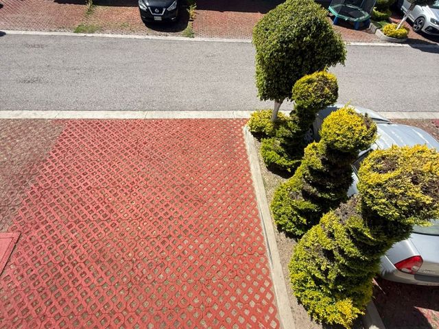 place photo 22