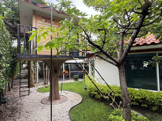 place photo 37
