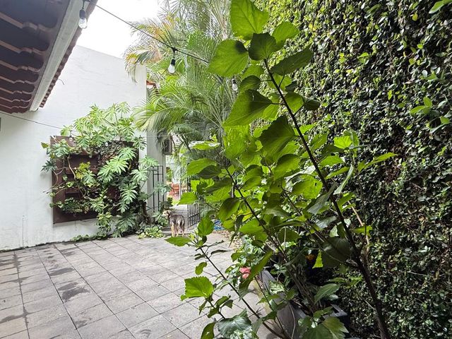 place photo 44