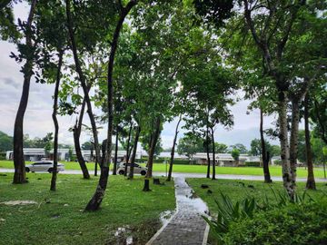 place photo 43