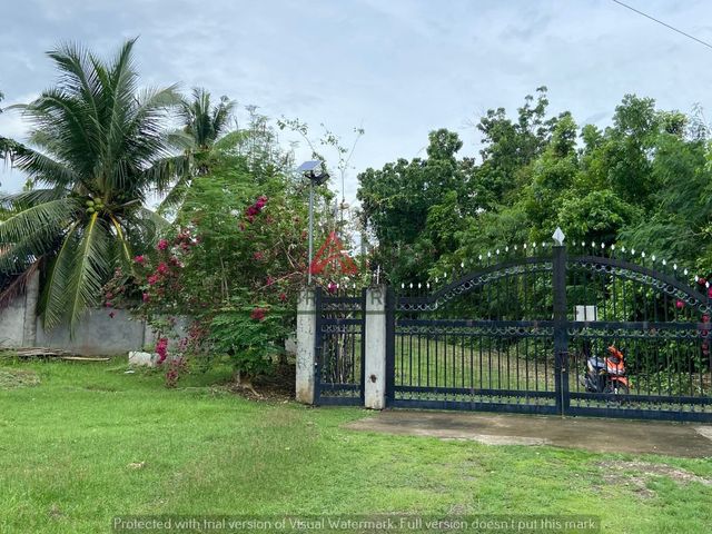 place photo 45