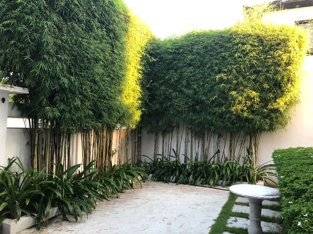 place photo 35