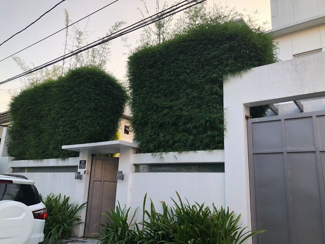 place photo 36