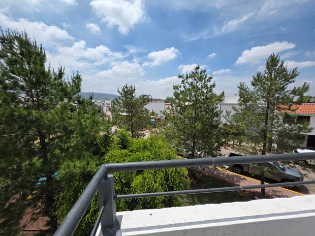 place photo 38