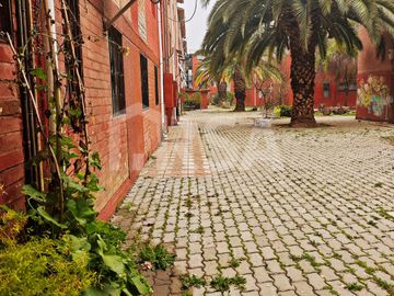 place photo 12