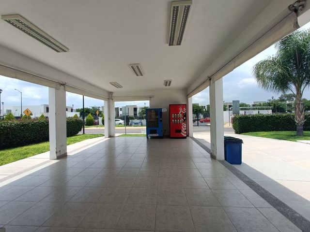 place photo 19