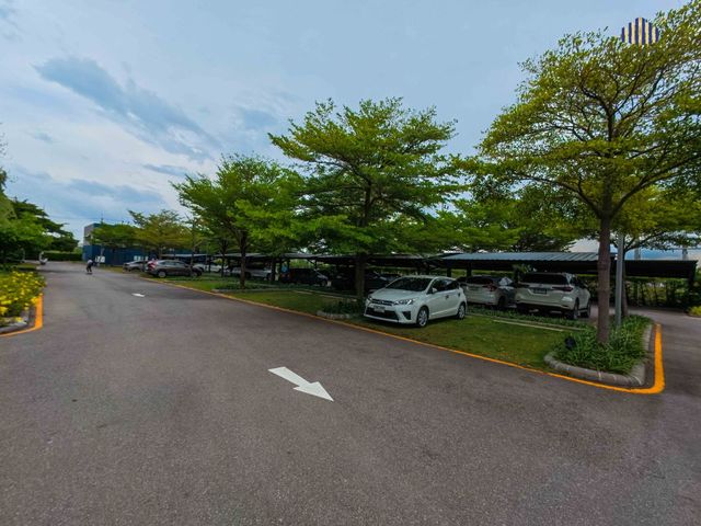 place photo 17