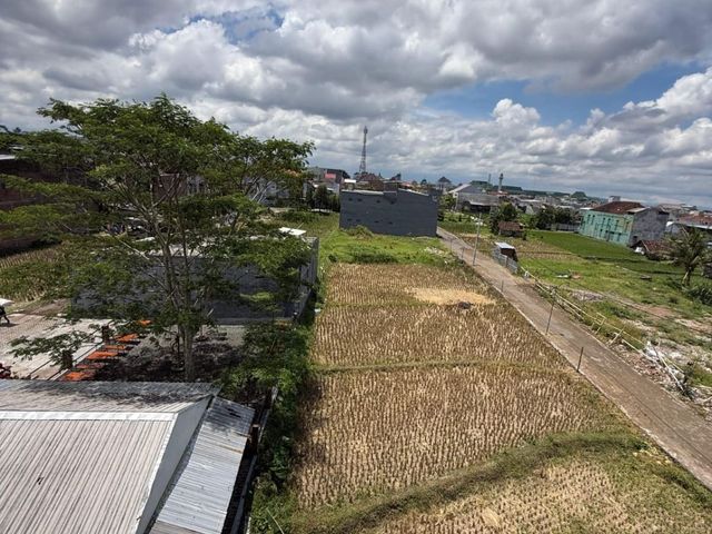 place photo 27