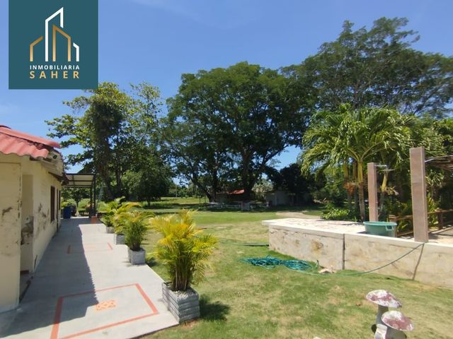 place photo 64