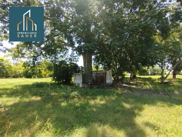 place photo 63