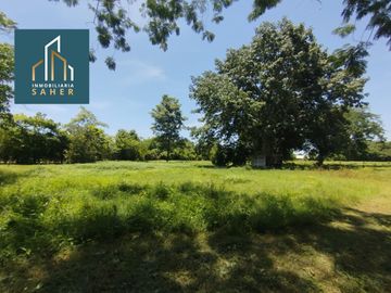 place photo 68