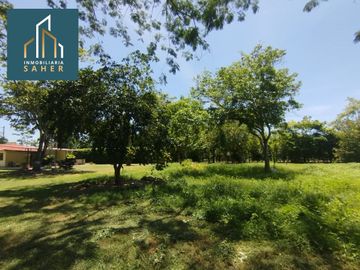 place photo 69