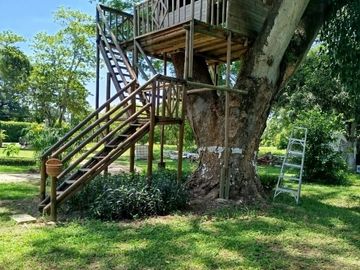 place photo 47