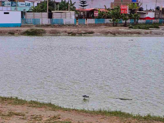 place photo 31
