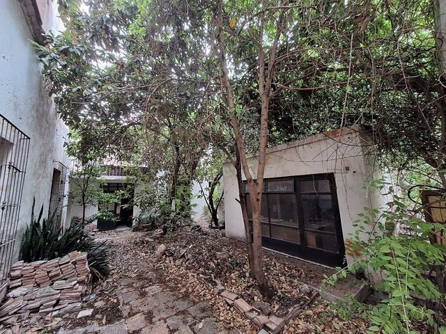 place photo 22