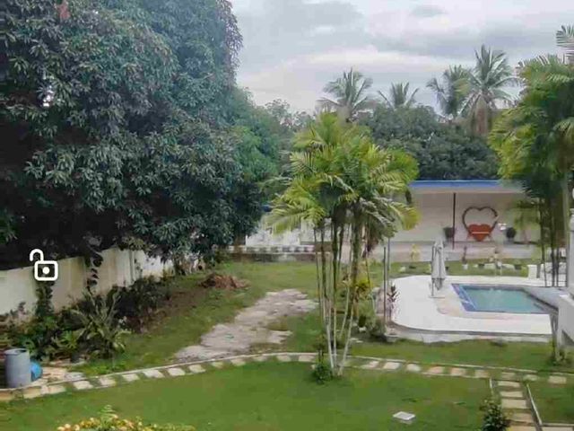 place photo 24