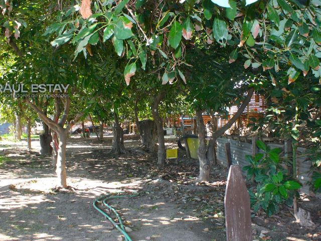place photo 21