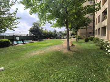 place photo 49