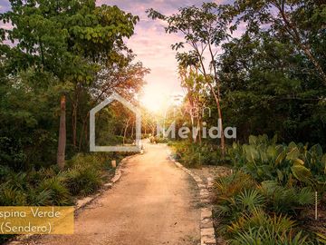 place photo 23