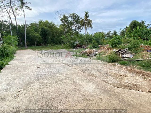 place photo 28