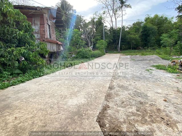 place photo 29