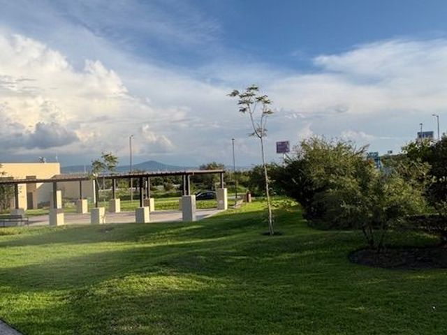 place photo 45